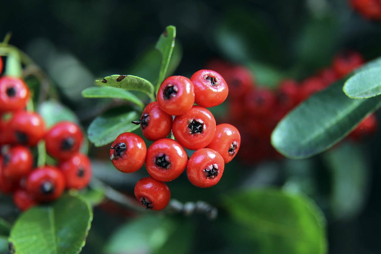 貝爾在皇馬 貝爾在皇馬
