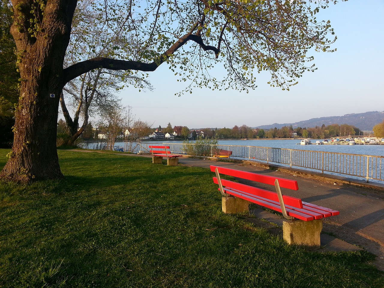 会做出这样 会做出这样